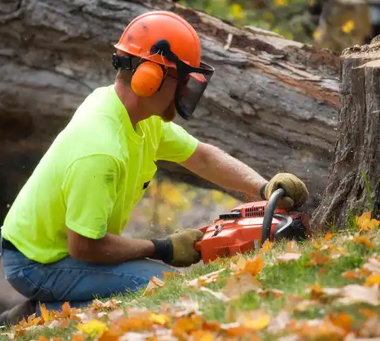 tree services Madisonville